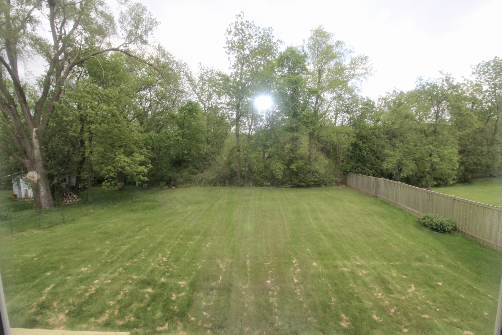 1505 Pheasant Run Road Harvard, IL 60033 - Photo 7 of 30 a view of a yard with a tree