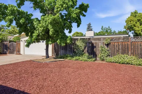 a small yard with large trees and wooden fence