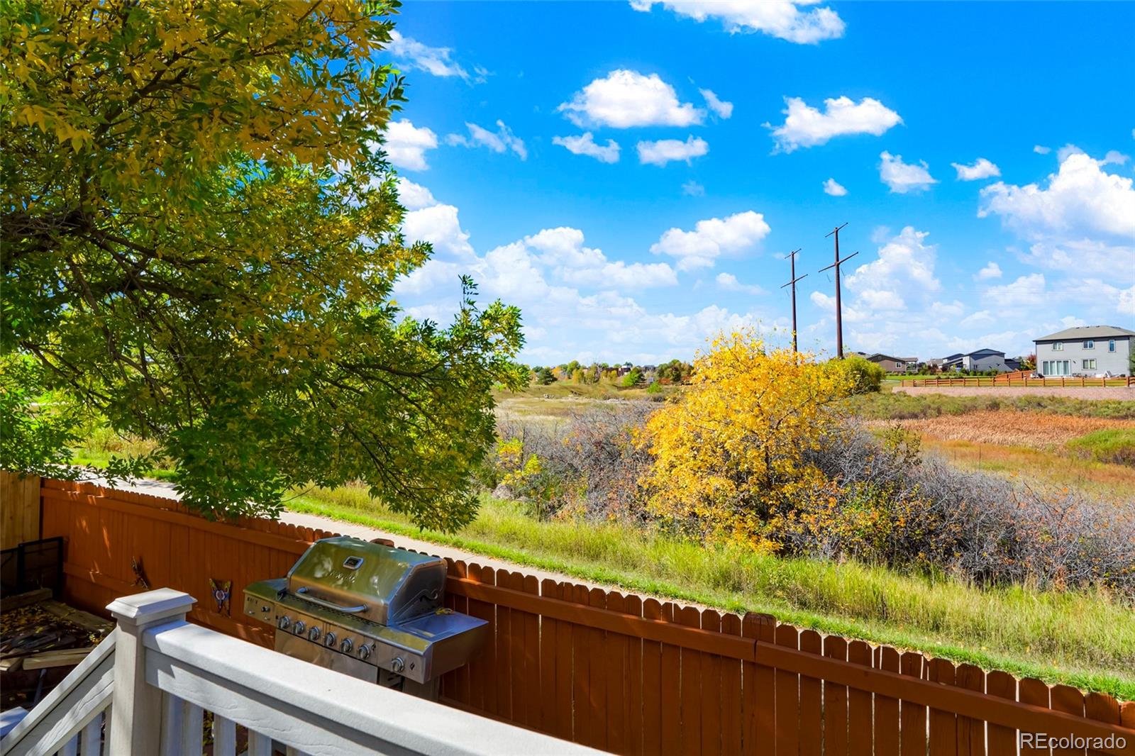 535 Howe Street Castle Rock, CO 80104 - Photo 22 of 25 a view of a yard with an ocean view