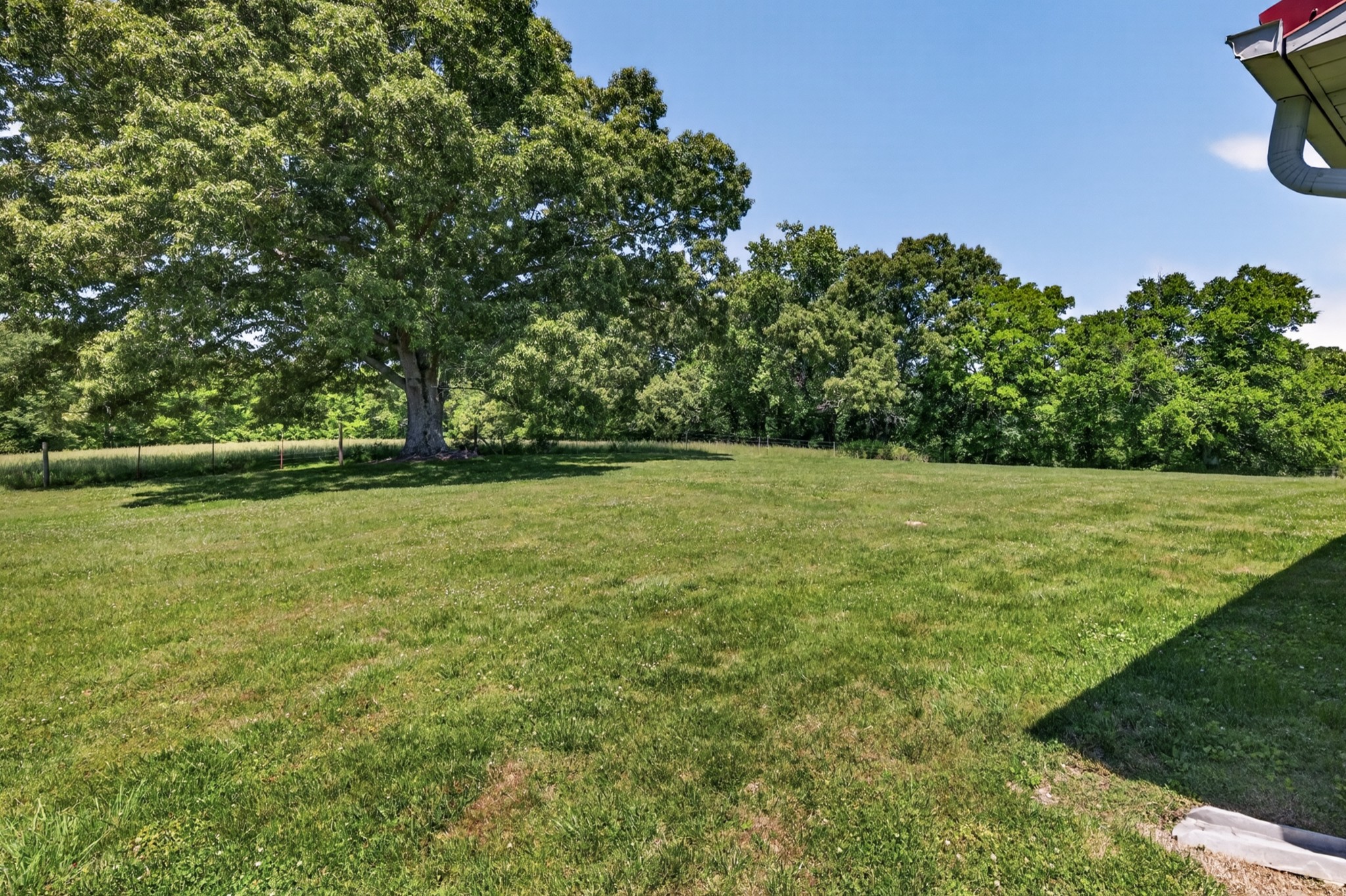 37 Old McLemore Road Taft, TN 38488 - Photo 6 of 57