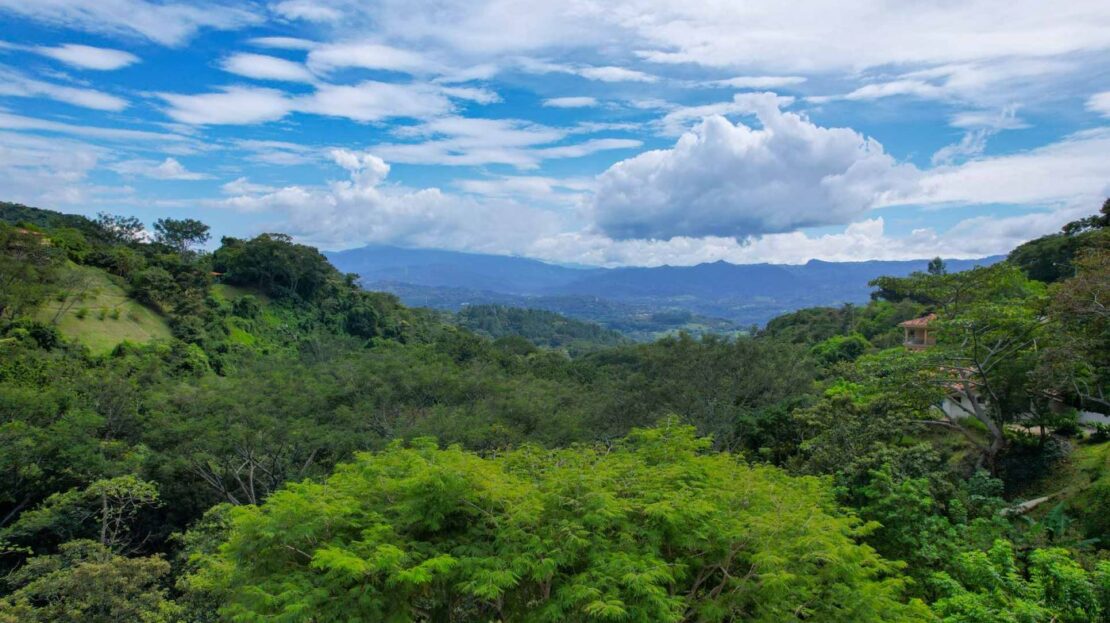 0 Modern Gem In The Natural Setting Washington, OS 20006 - Photo 30 of 33 View of mountain background featuring a heavily wooded area
