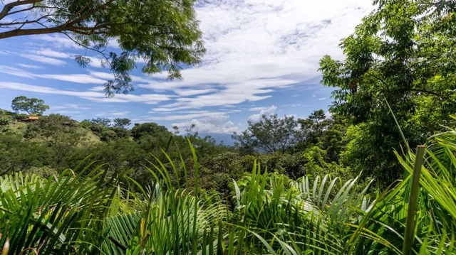 $599,000 | 0 Modern Gem In The Natural Setting, Washington, OS 20006