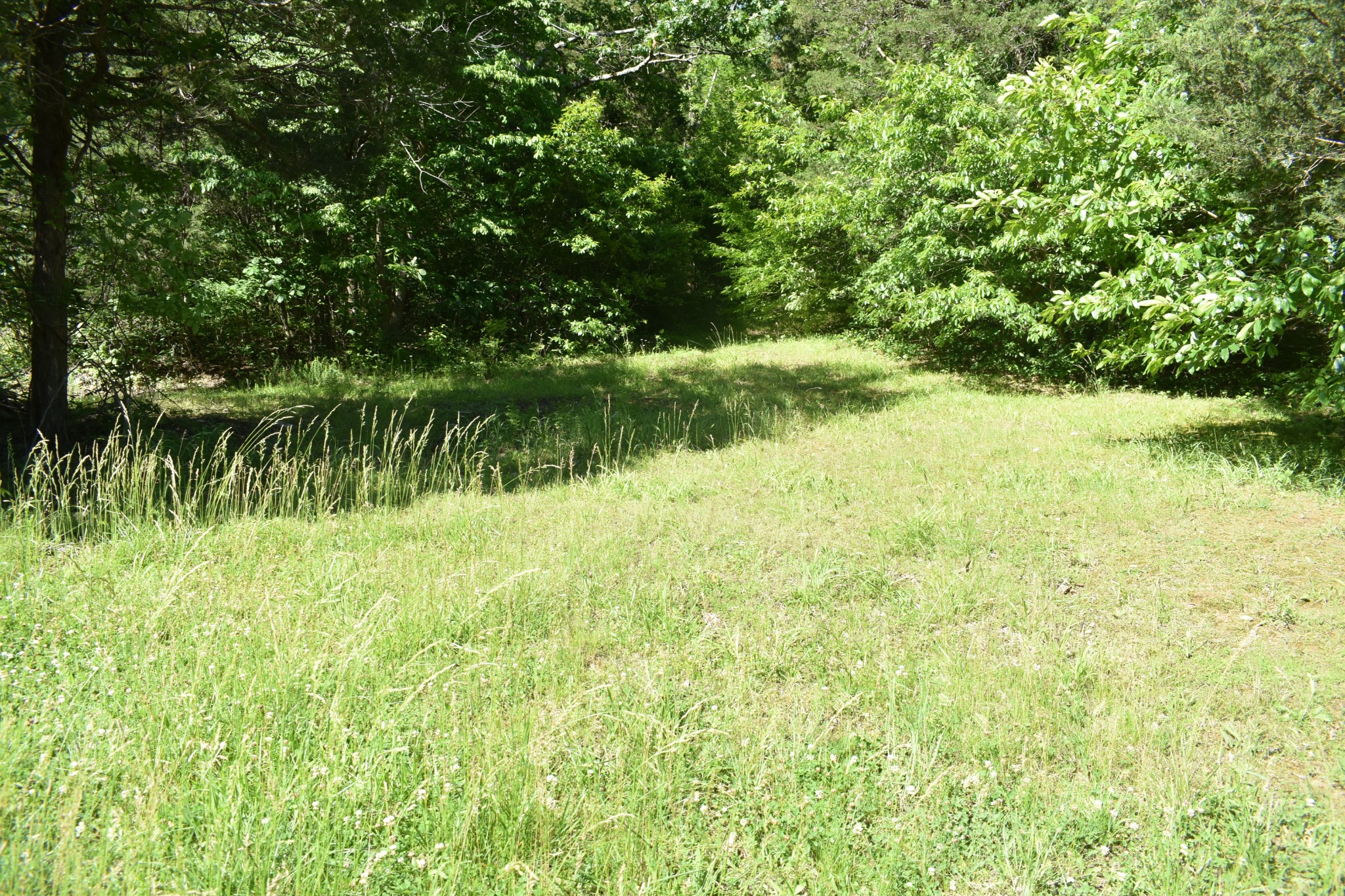 0 Ballenger Road Carthage, TN 37030 - Photo 1 of 19 a view of lake with green space