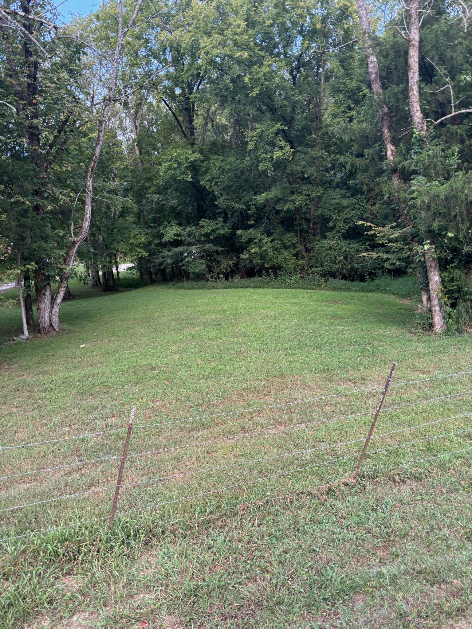 0 Ballenger Road Carthage, TN 37030 - Photo 11 of 19 a backyard of a house with lots of green space