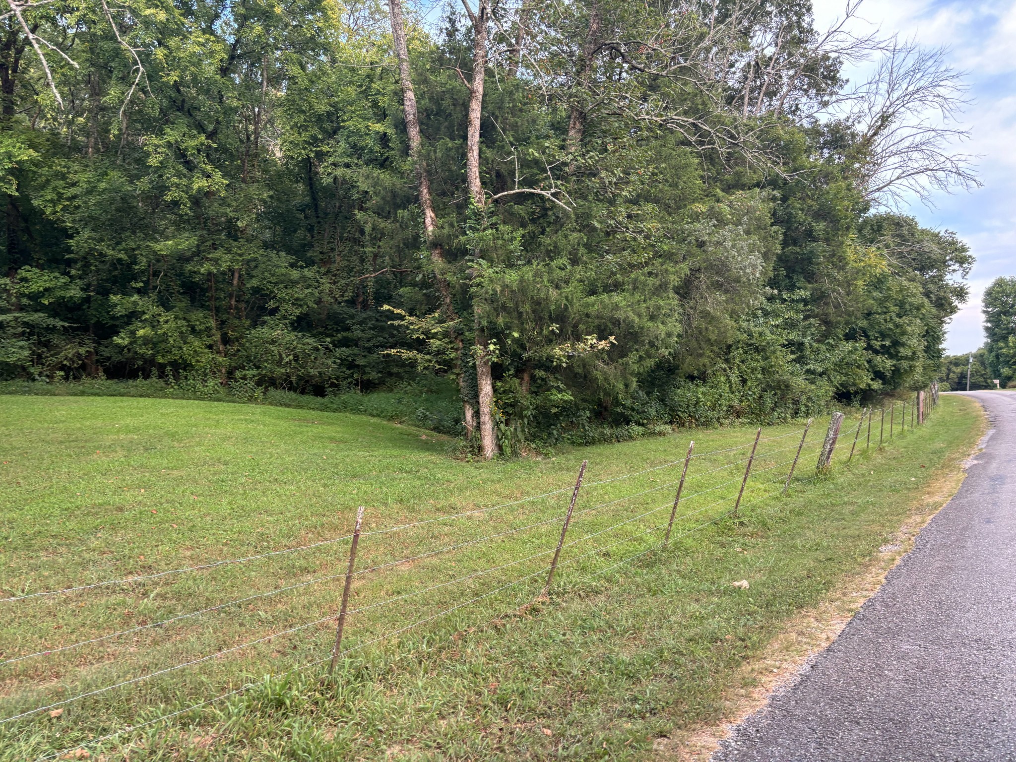 0 Ballenger Road Carthage, TN 37030 - Photo 12 of 19 a view of a golf course with a tree