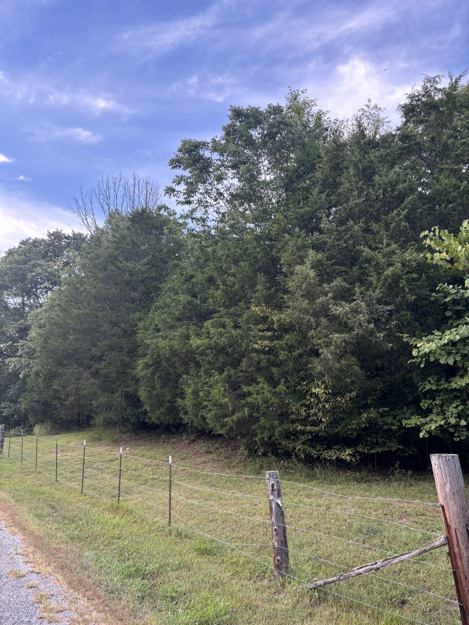 0 Ballenger Road Carthage, TN 37030 - Photo 14 of 19 a view of a yard