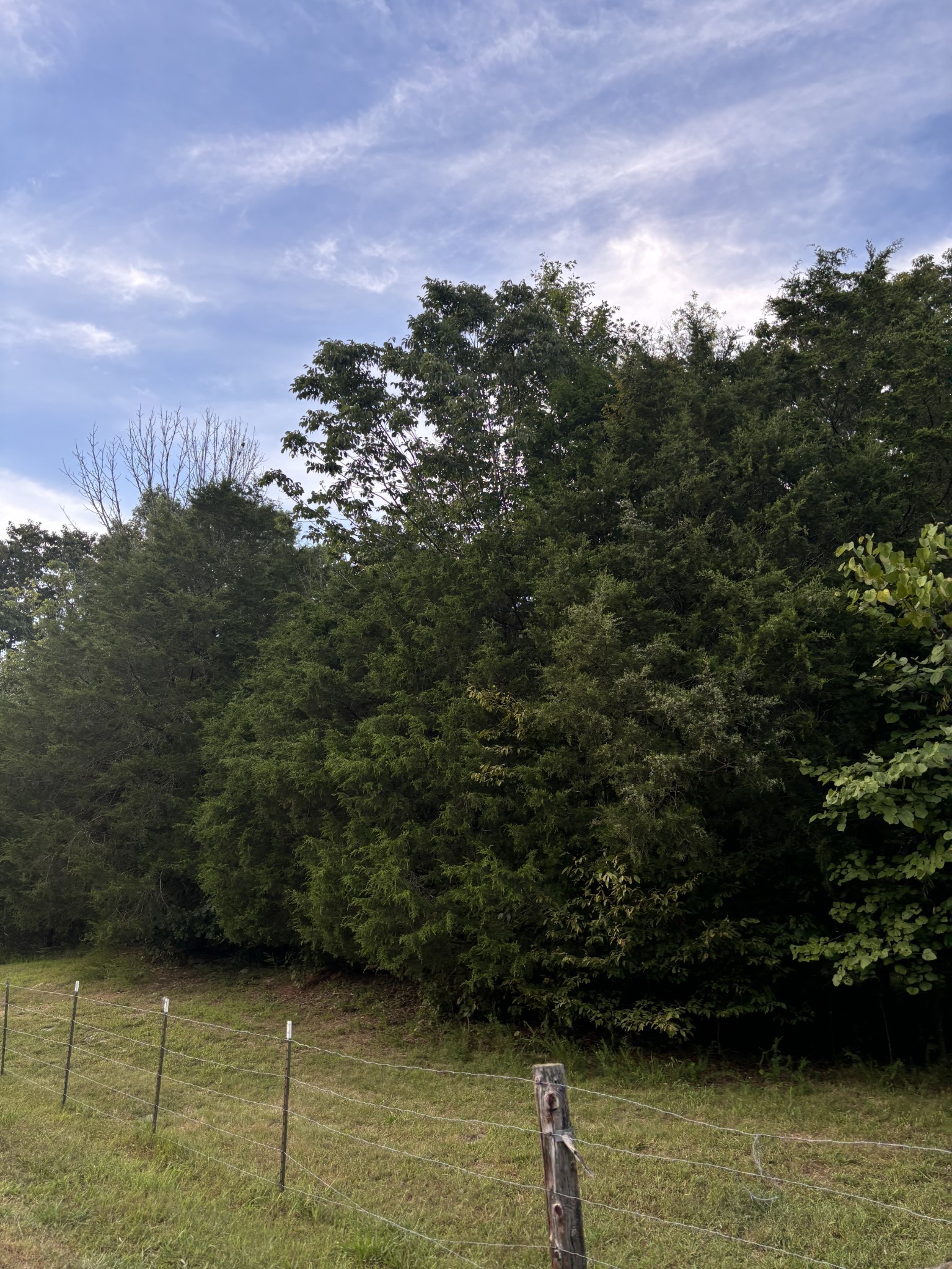 0 Ballenger Road Carthage, TN 37030 - Photo 15 of 19 a view of a lake