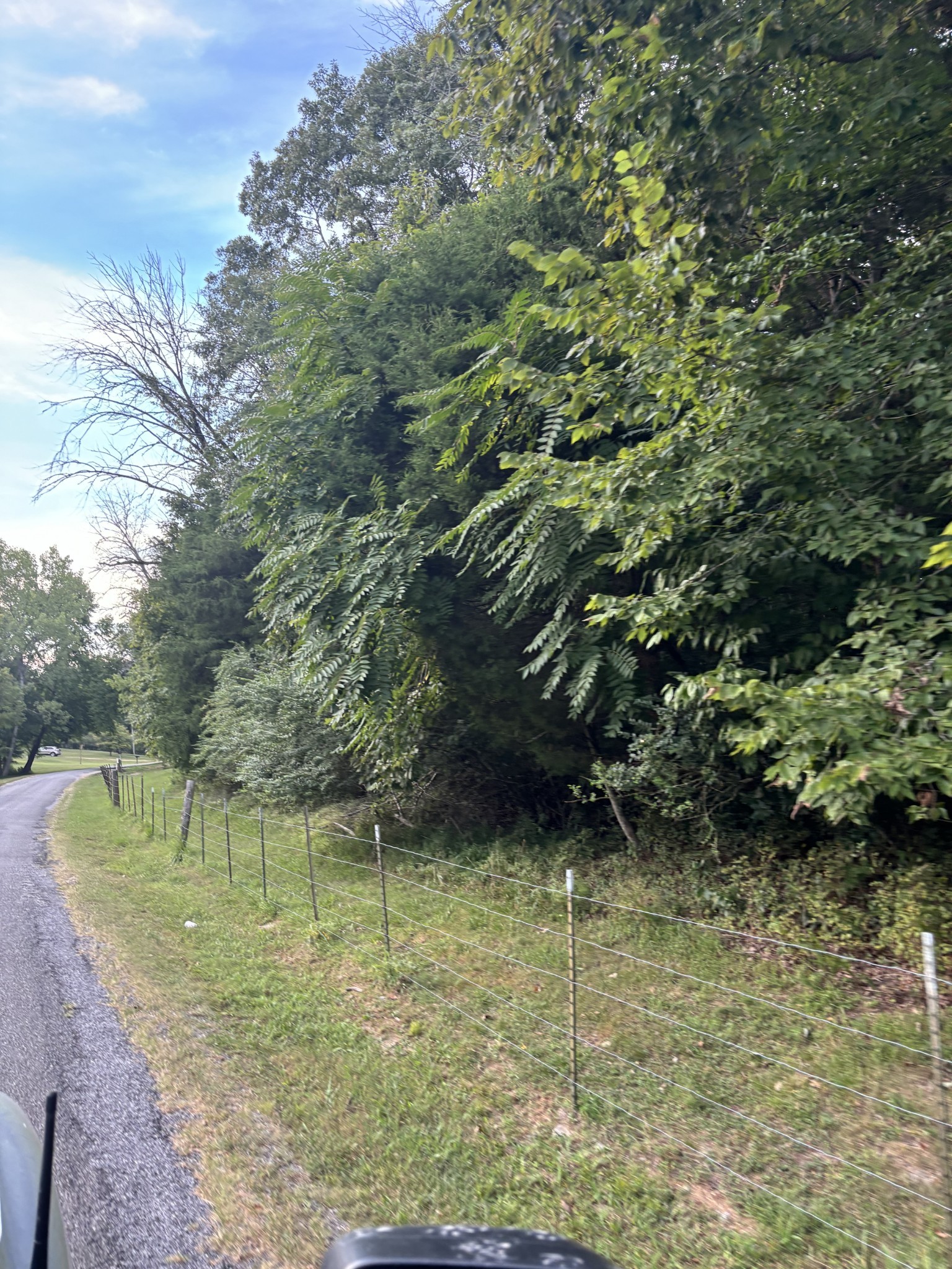0 Ballenger Road Carthage, TN 37030 - Photo 16 of 19 a view of a lake view