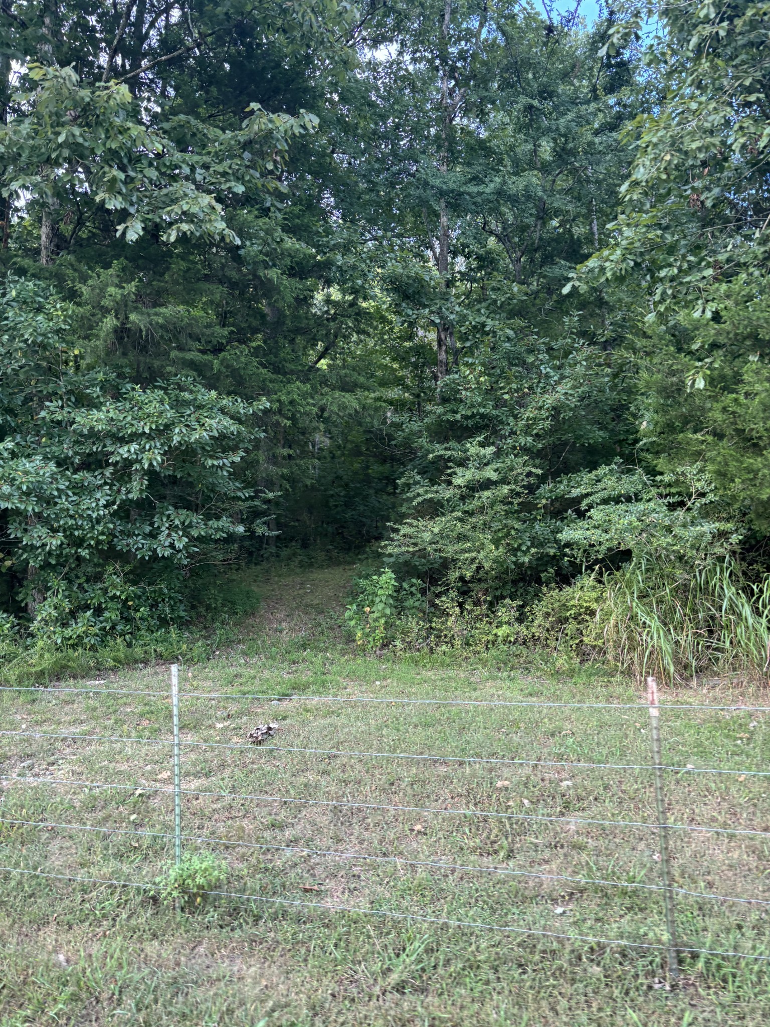 0 Ballenger Road Carthage, TN 37030 - Photo 17 of 19 a view of outdoor space with a lake view