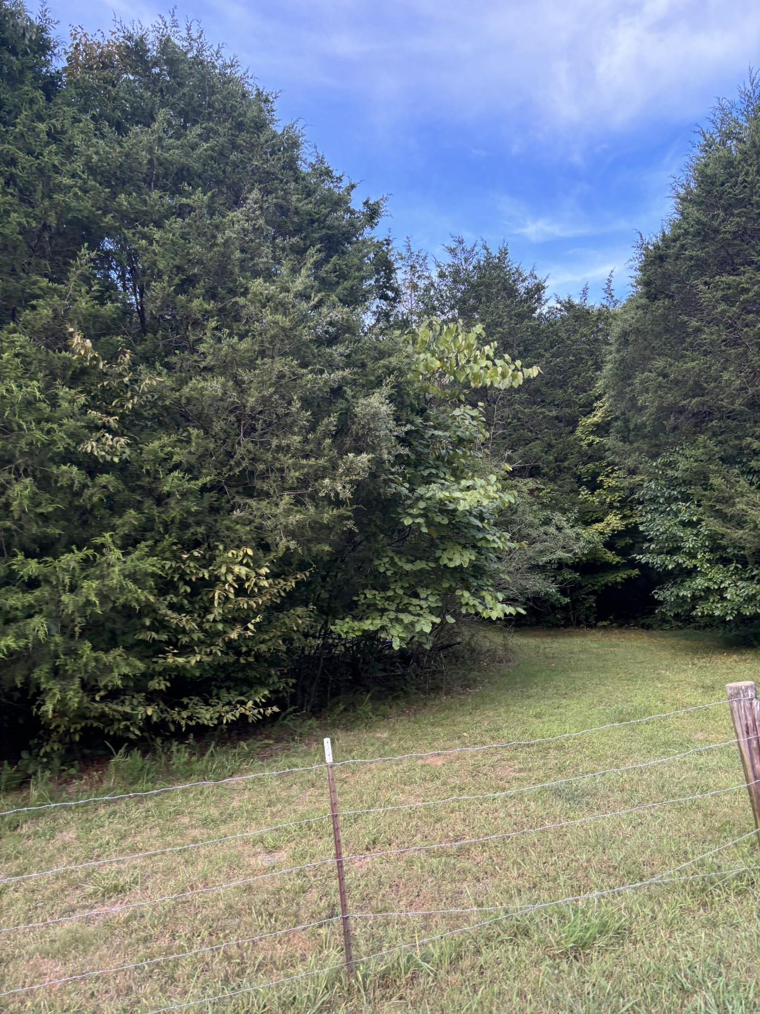 0 Ballenger Road Carthage, TN 37030 - Photo 19 of 19 a view of a yard