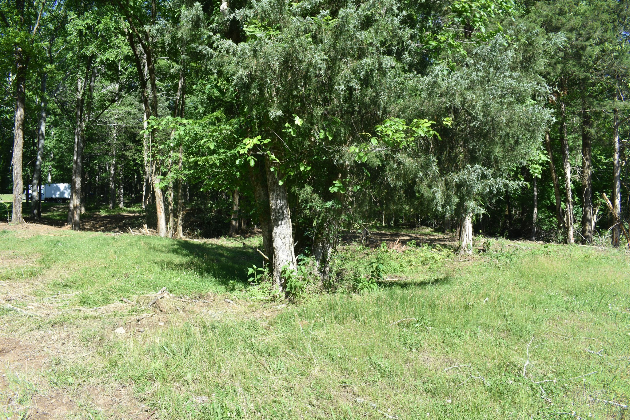 0 Ballenger Road Carthage, TN 37030 - Photo 2 of 19 a fire hydrant in the middle of a field
