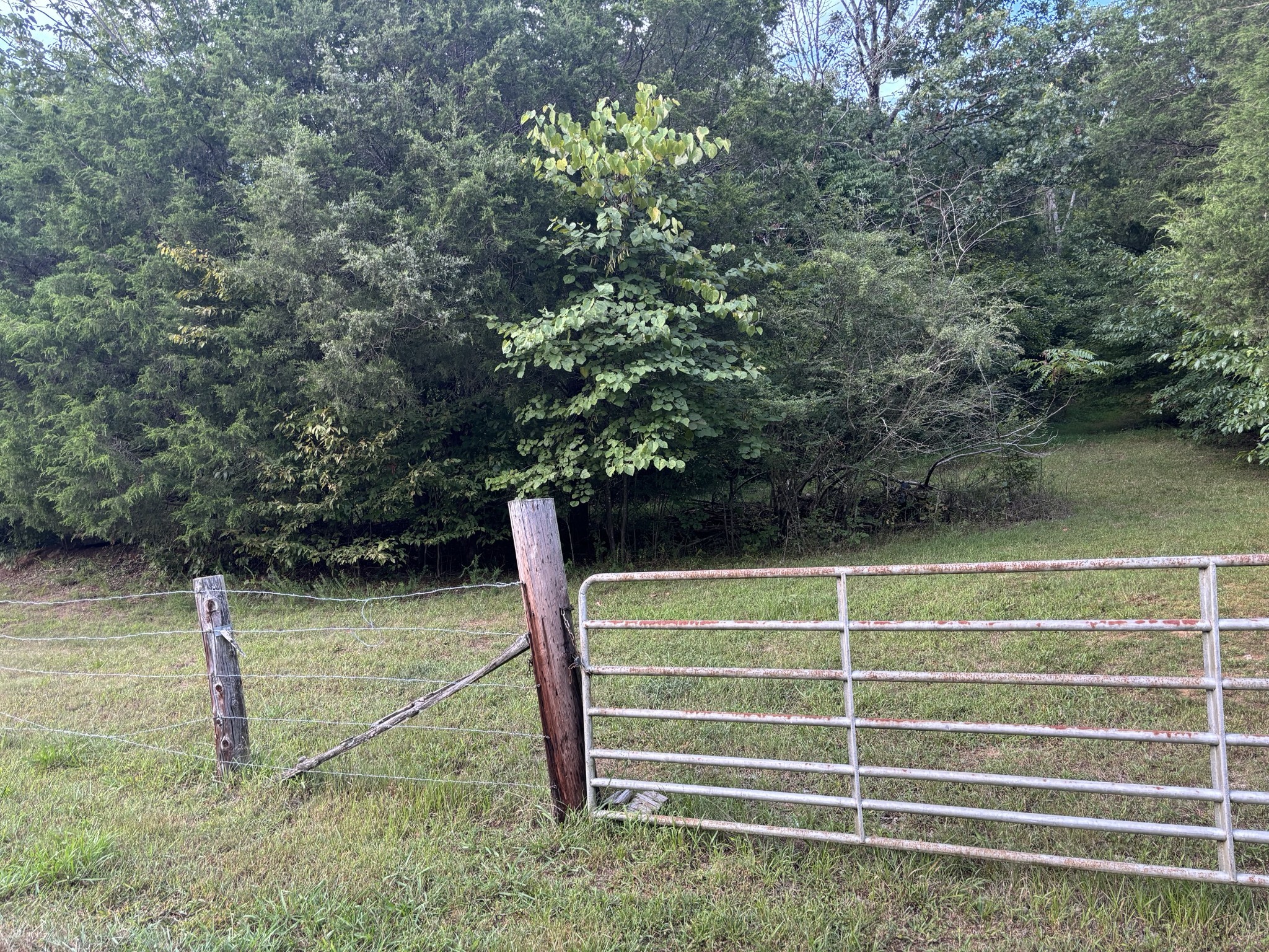 0 Ballenger Road Carthage, TN 37030 - Photo 10 of 19