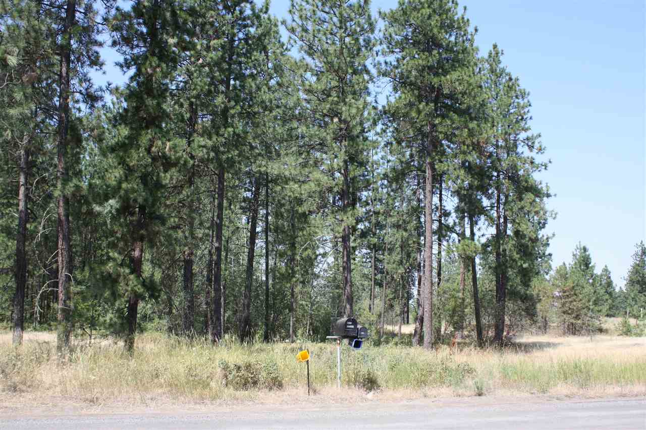 5911 South Abbott Road Spokane, WA 99224 - Photo 3 of 9