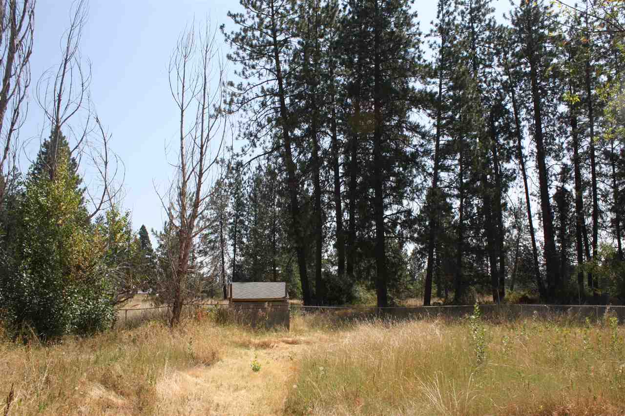 5911 South Abbott Road Spokane, WA 99224 - Photo 4 of 9