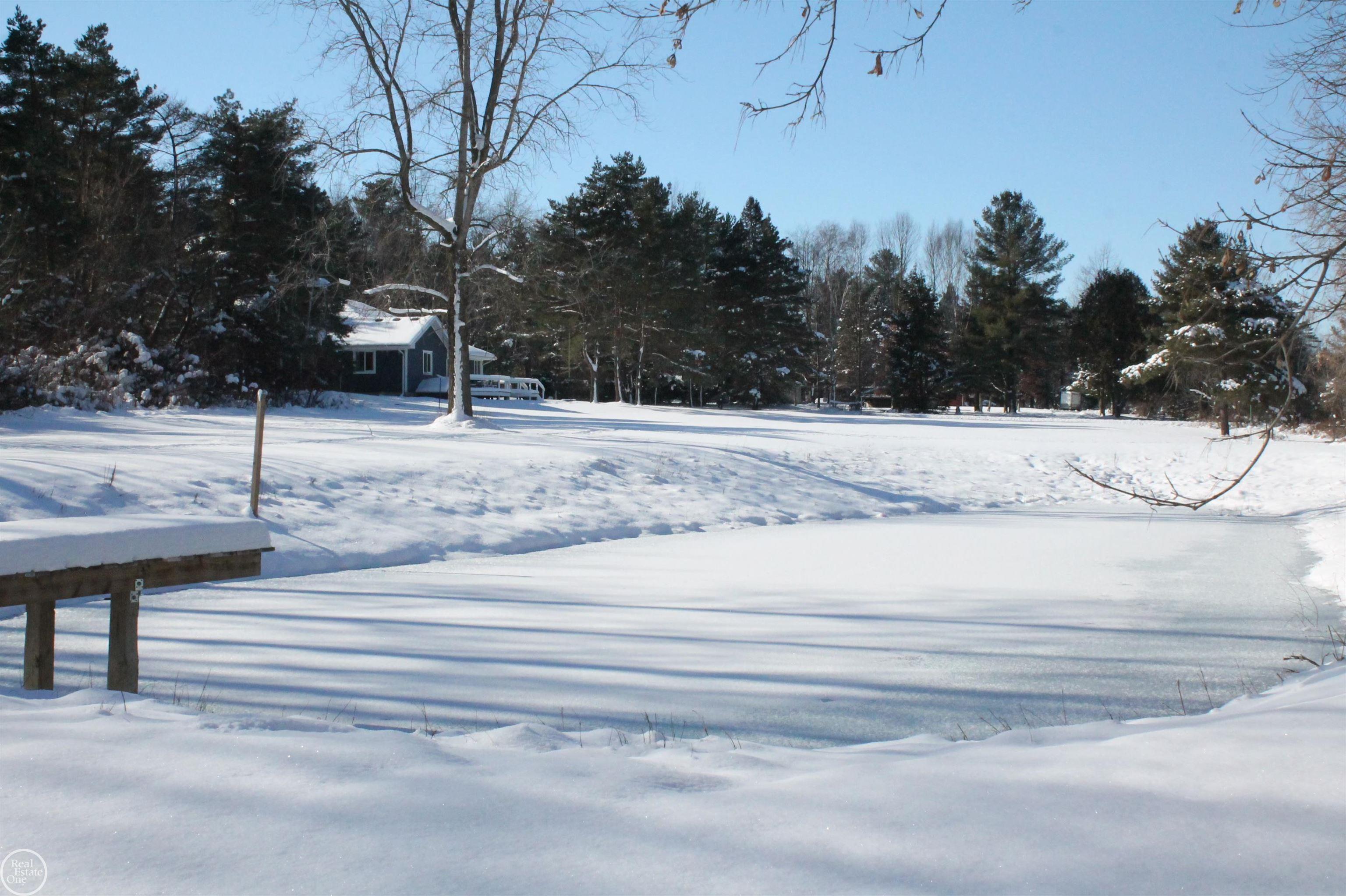 3233 Babcock Road Lexington, MI 48450 - Photo 9 of 51 50100780-8.JPG