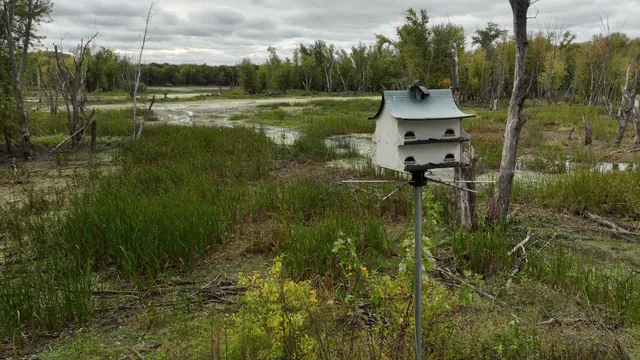 $195,000 | S5237 Highway 35, Genoa, WI 54632