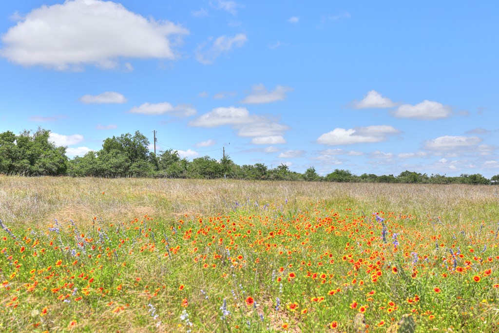 2600 Reservation Road Harper, TX 78631 - Photo 5 of 16