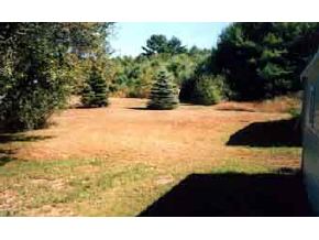 91 River Road Epsom, NH 03234 - Photo 3 of 5