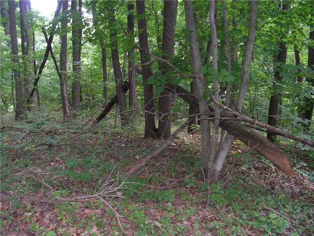0 Raspberry Nashville, IN 46164 - Photo 2 of 2 Gallery Image 2