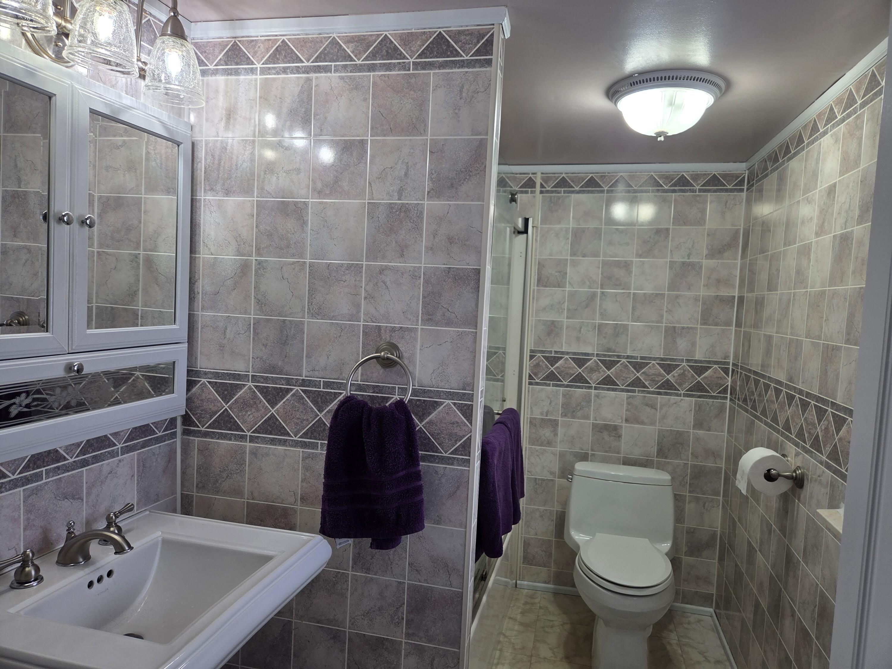 232 Bender Street Jackson, MI 49201 - Photo 6 of 31 Main Level Bathroom