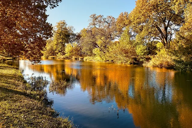 a view of swimming pool with lawn chairs under an umbrella