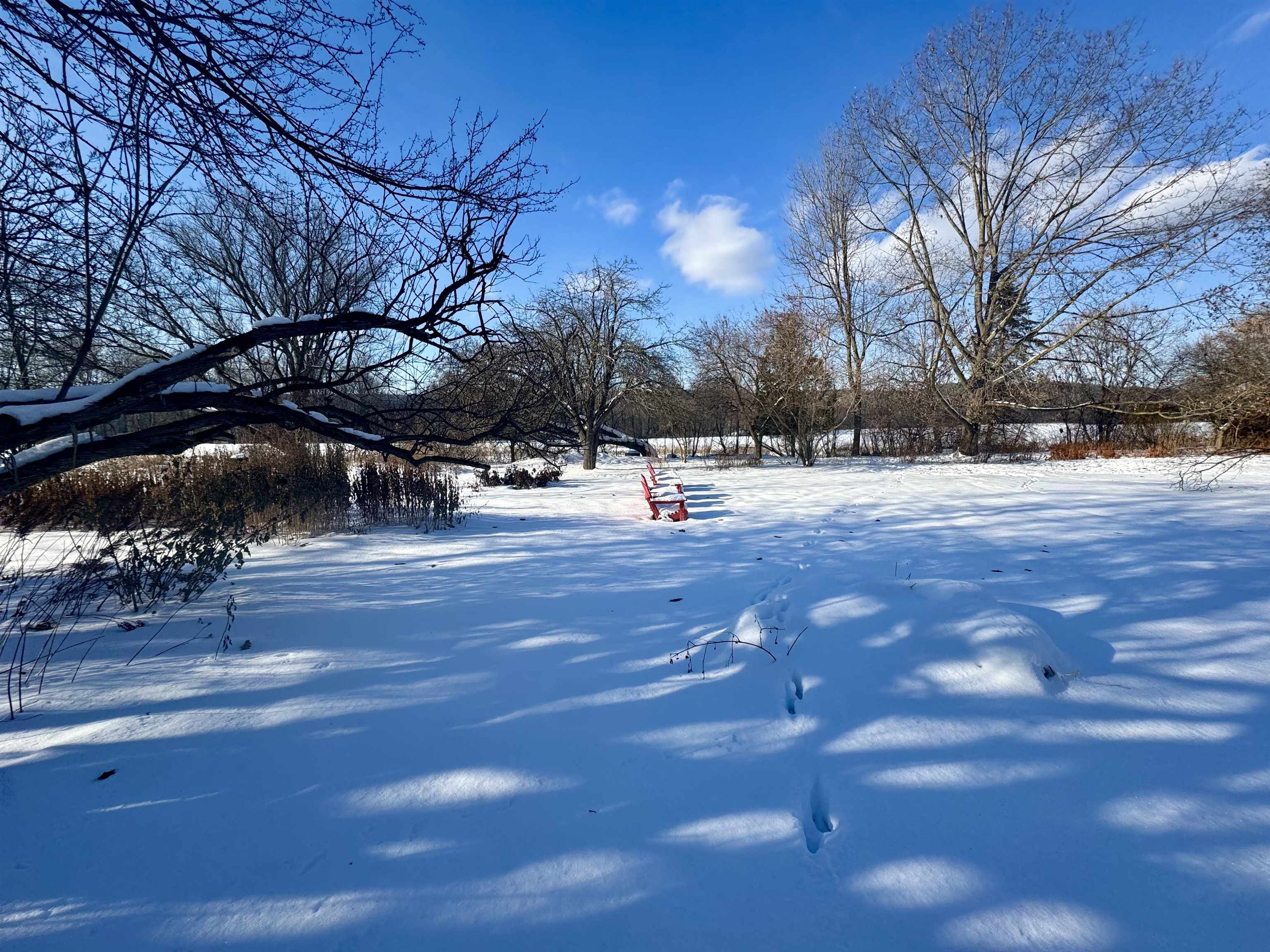 191 River Road Piermont, NH 03779 - Photo 3 of 49