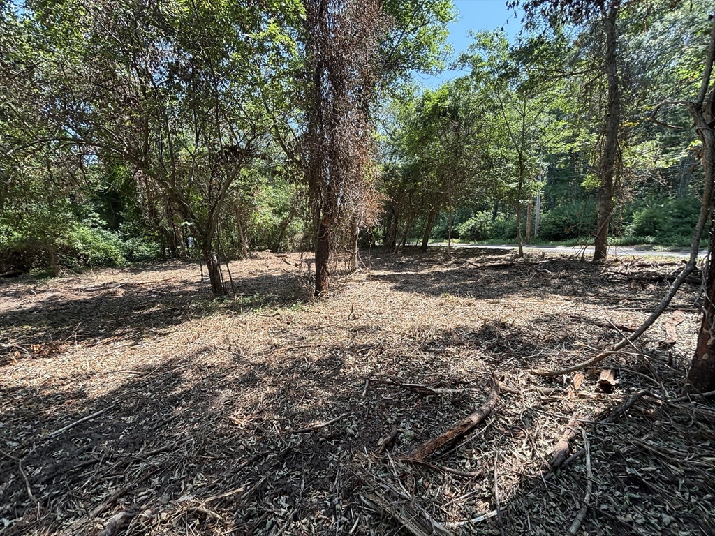 0 Rounseville Road Rochester, MA 02770 - Photo 2 of 10 a view of a yard with tree s