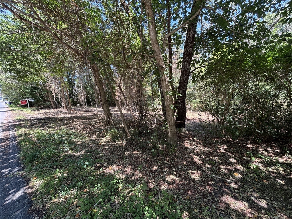 0 Rounseville Road Rochester, MA 02770 - Photo 3 of 10 a backyard of a house with lots of green space