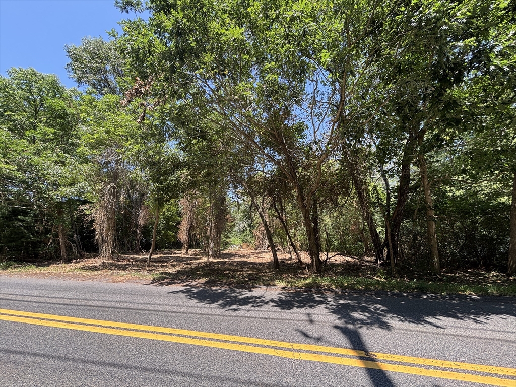 0 Rounseville Road Rochester, MA 02770 - Photo 5 of 10 a view of a swimming pool with a trees