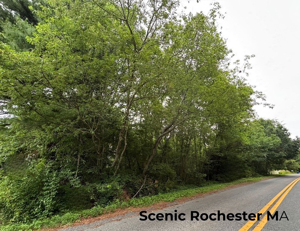 0 Rounseville Road Rochester, MA 02770 - Photo 6 of 10 a view of a park with large trees