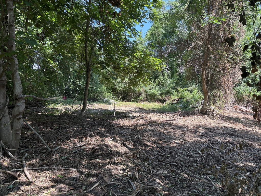 0 Rounseville Road Rochester, MA 02770 - Photo 8 of 10 a view of a forest with trees in the background