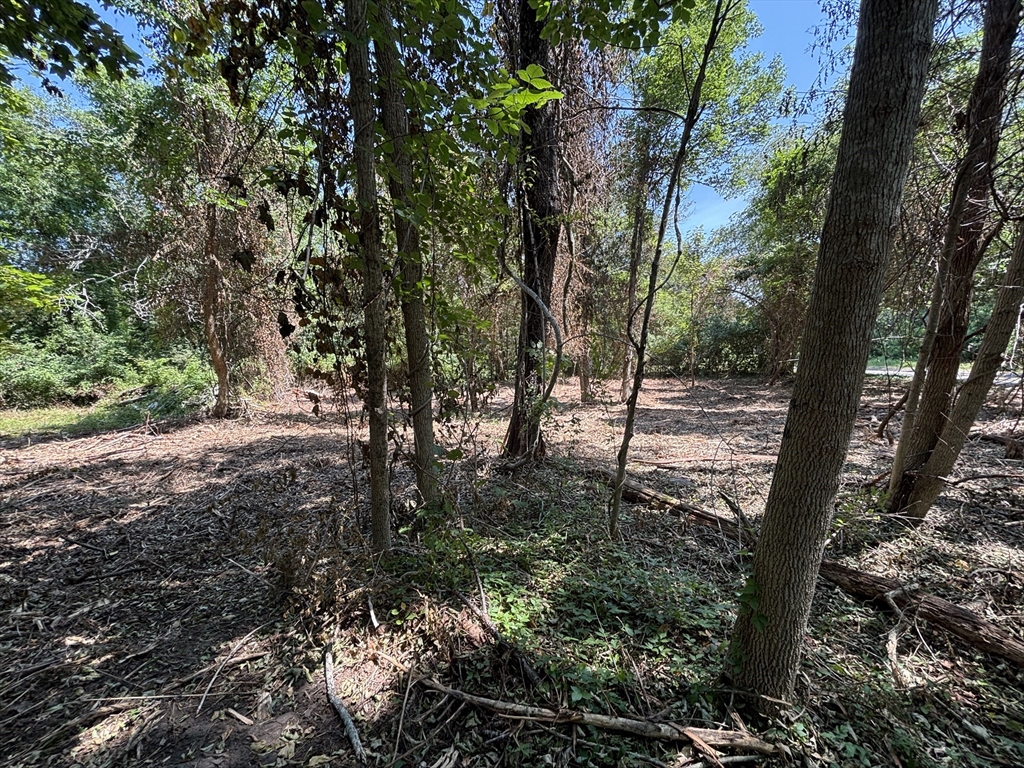 0 Rounseville Road Rochester, MA 02770 - Photo 9 of 10 a view of a forest with trees