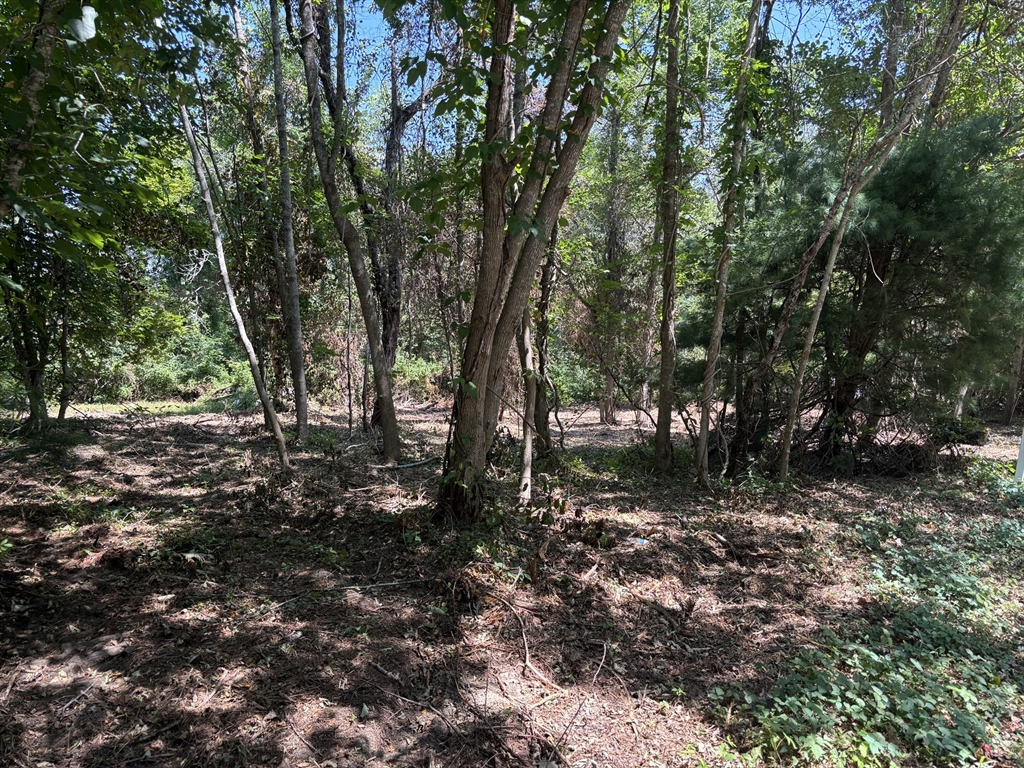 0 Rounseville Road Rochester, MA 02770 - Photo 10 of 10 a view of outdoor space with trees