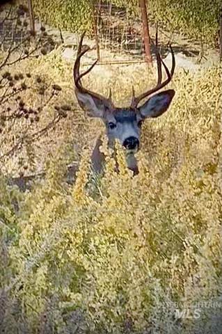 $1,300,000 | 830 Snively Gulch Road, Nyssa, OR 97913