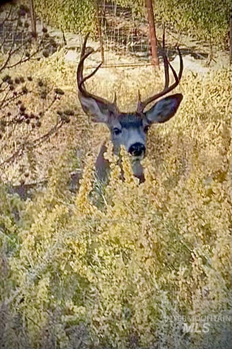 830 Snively Gulch Road Nyssa, OR 97913 - Photo 20 of 42