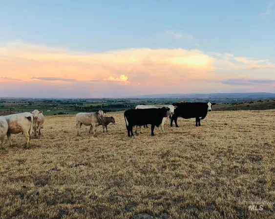 $1,300,000 | 830 Snively Gulch Road, Nyssa, OR 97913