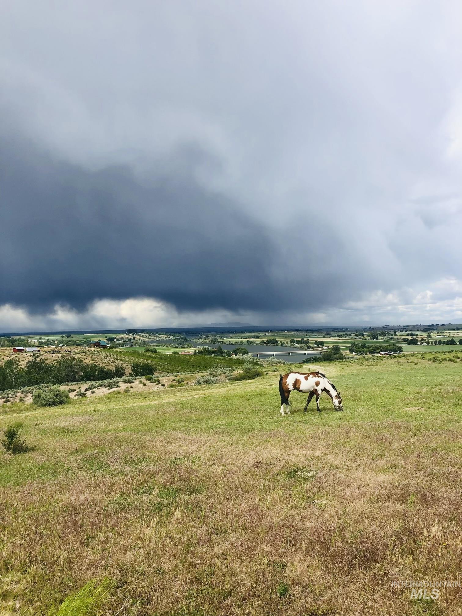 830 Snively Gulch Road Nyssa, OR 97913 - Photo 32 of 42