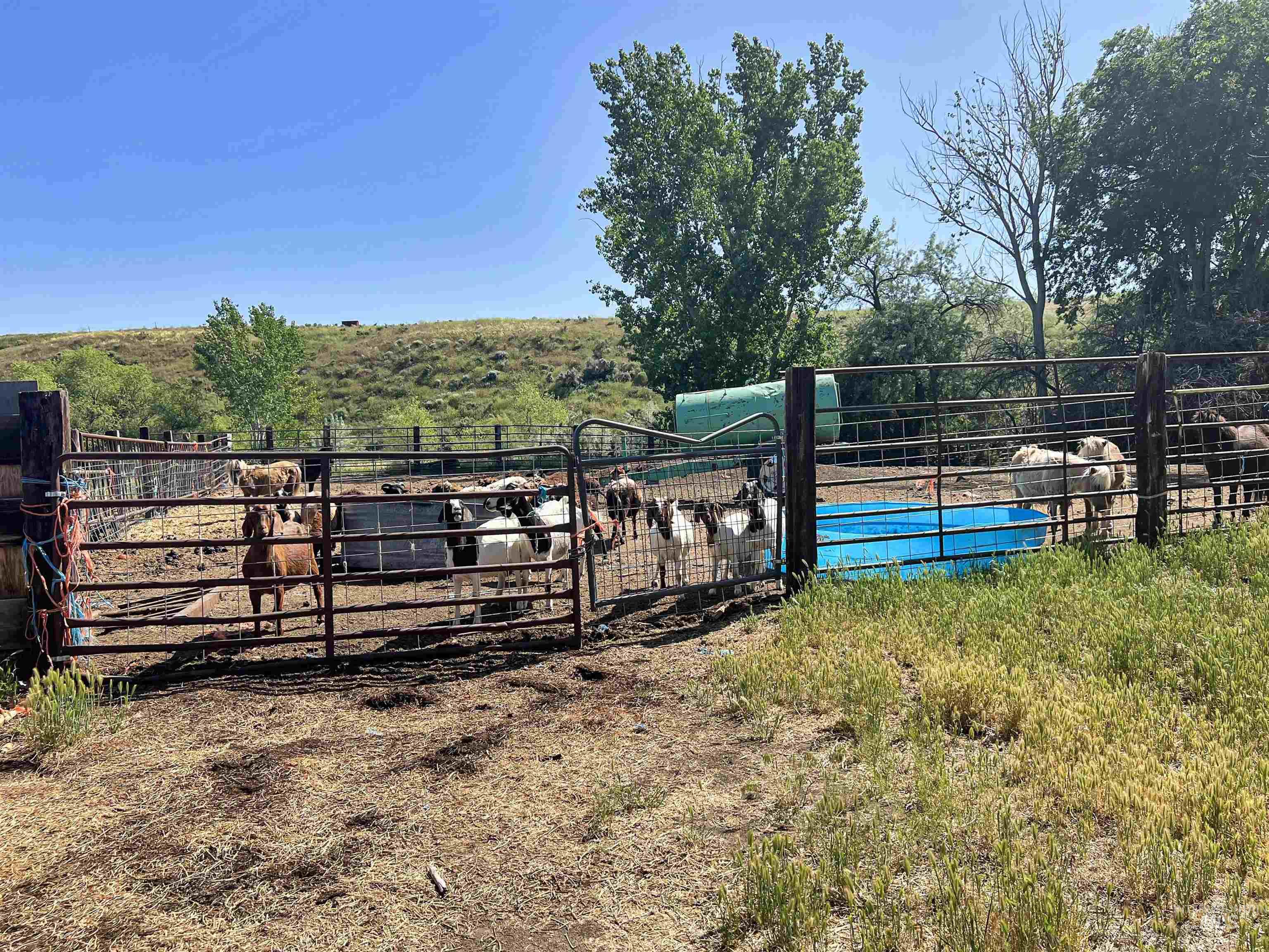 830 Snively Gulch Road Nyssa, OR 97913 - Photo 33 of 42