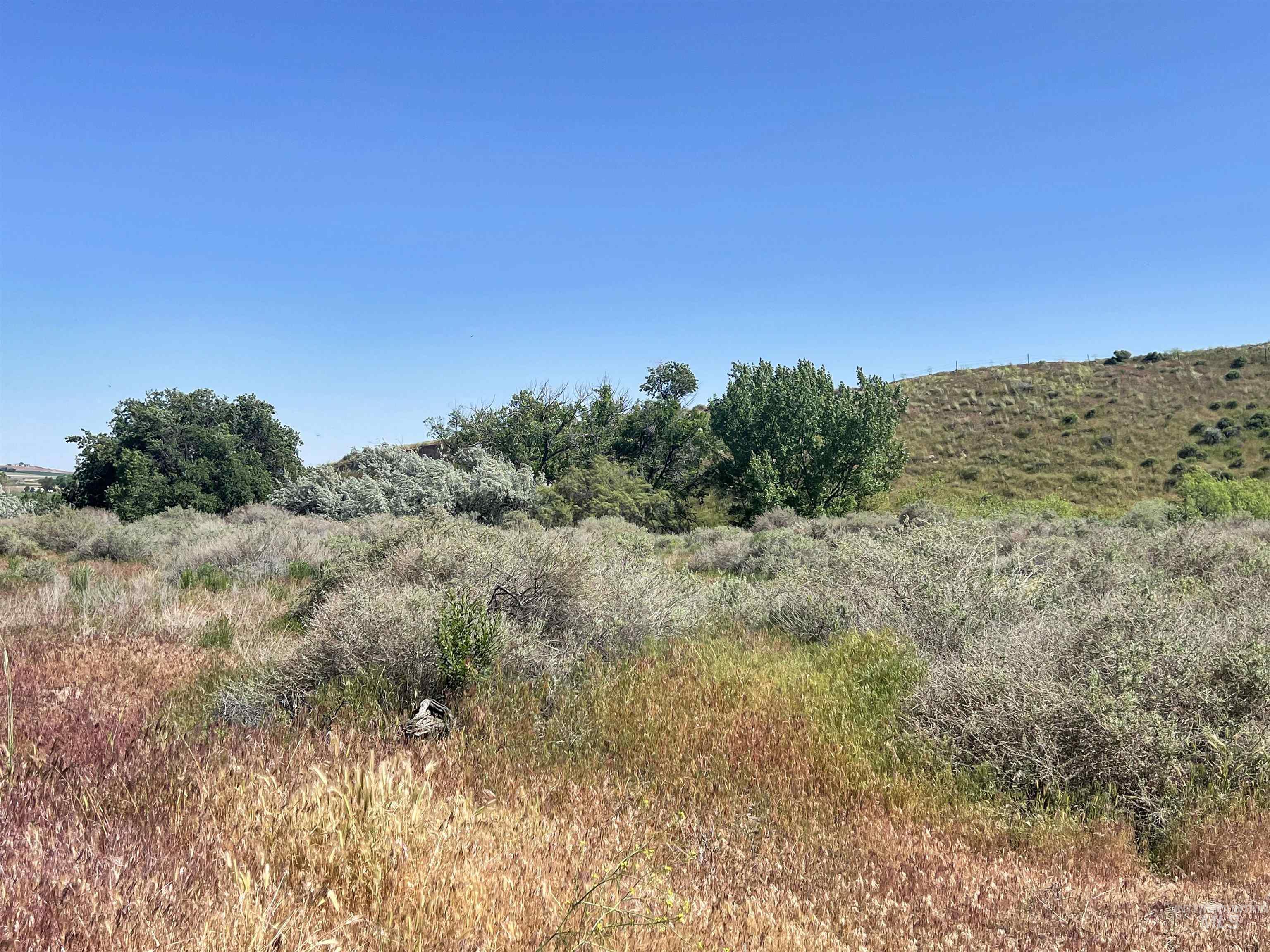 830 Snively Gulch Road Nyssa, OR 97913 - Photo 34 of 42