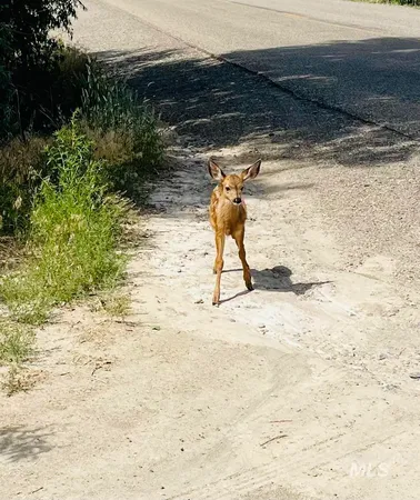 $1,300,000 | 830 Snively Gulch Road, Nyssa, OR 97913