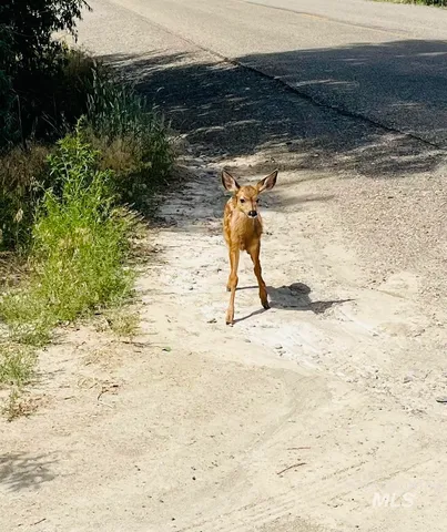 $1,300,000 | 830 Snively Gulch Road, Nyssa, OR 97913