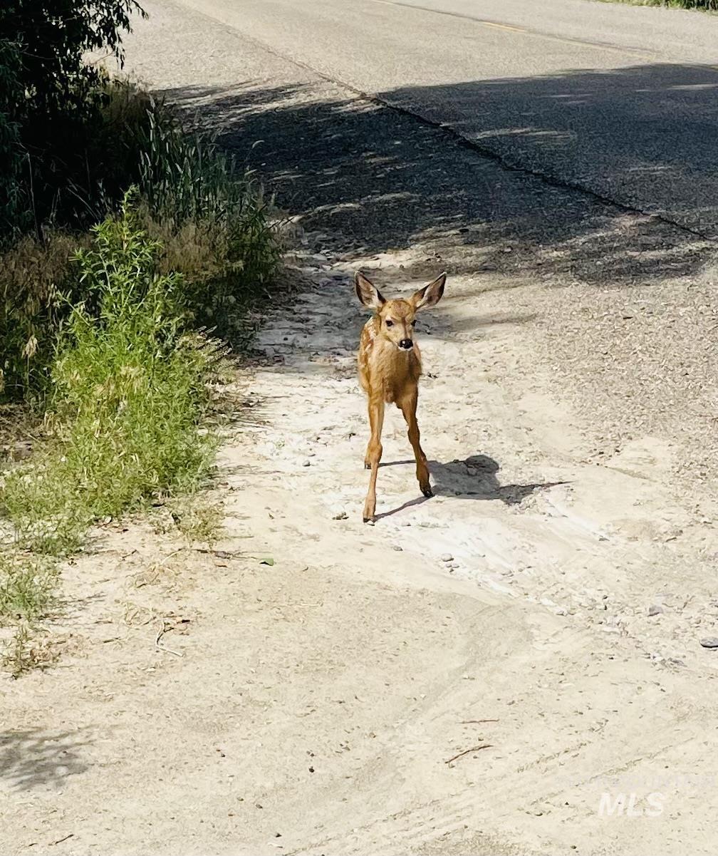 830 Snively Gulch Road Nyssa, OR 97913 - Photo 35 of 42