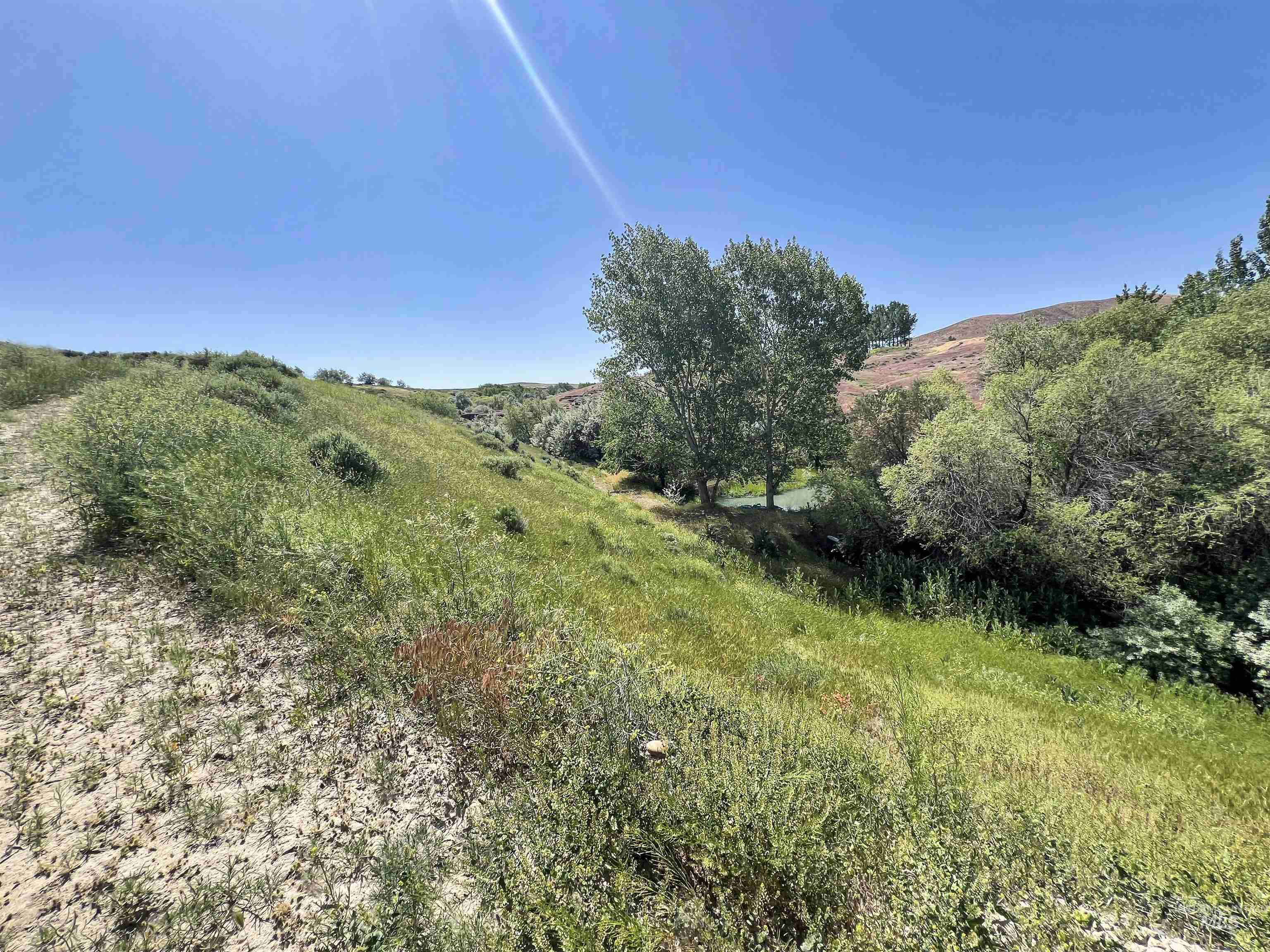 830 Snively Gulch Road Nyssa, OR 97913 - Photo 6 of 42