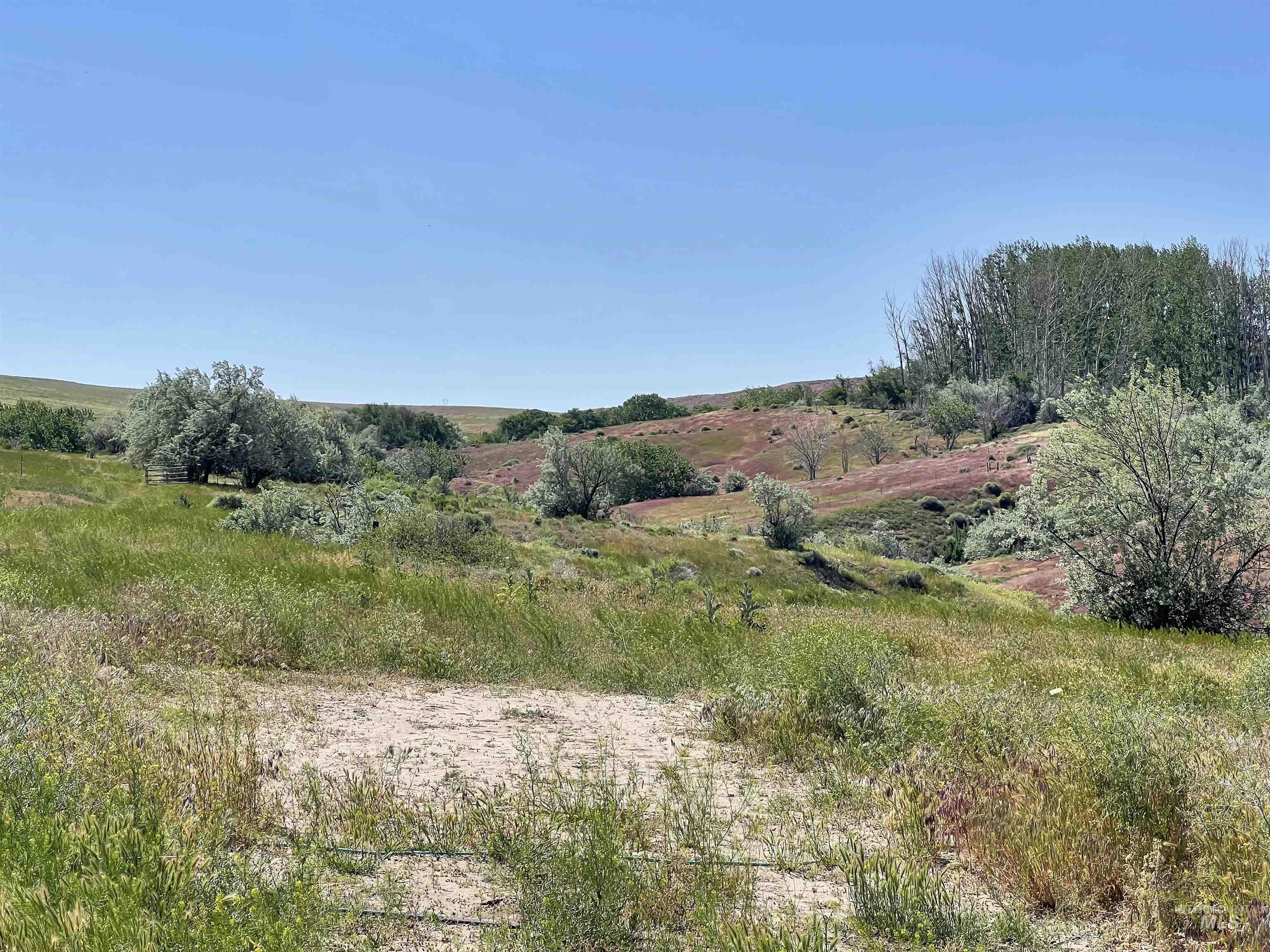 830 Snively Gulch Road Nyssa, OR 97913 - Photo 10 of 42