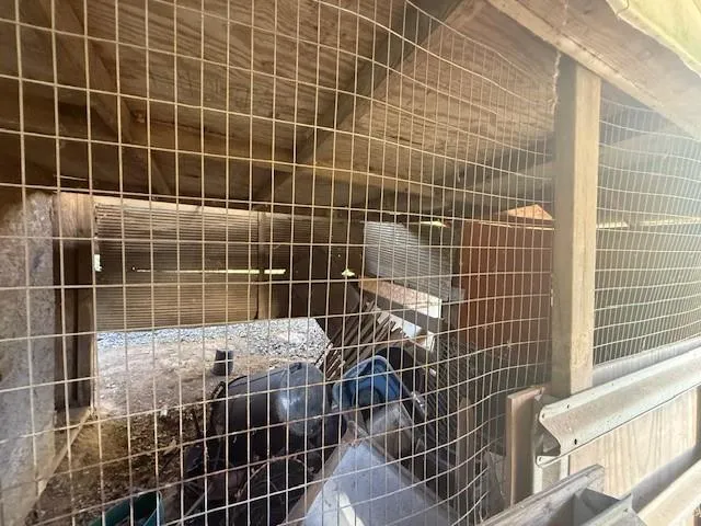 $39,999 | 17655 Highway 71, Ida, LA 71044