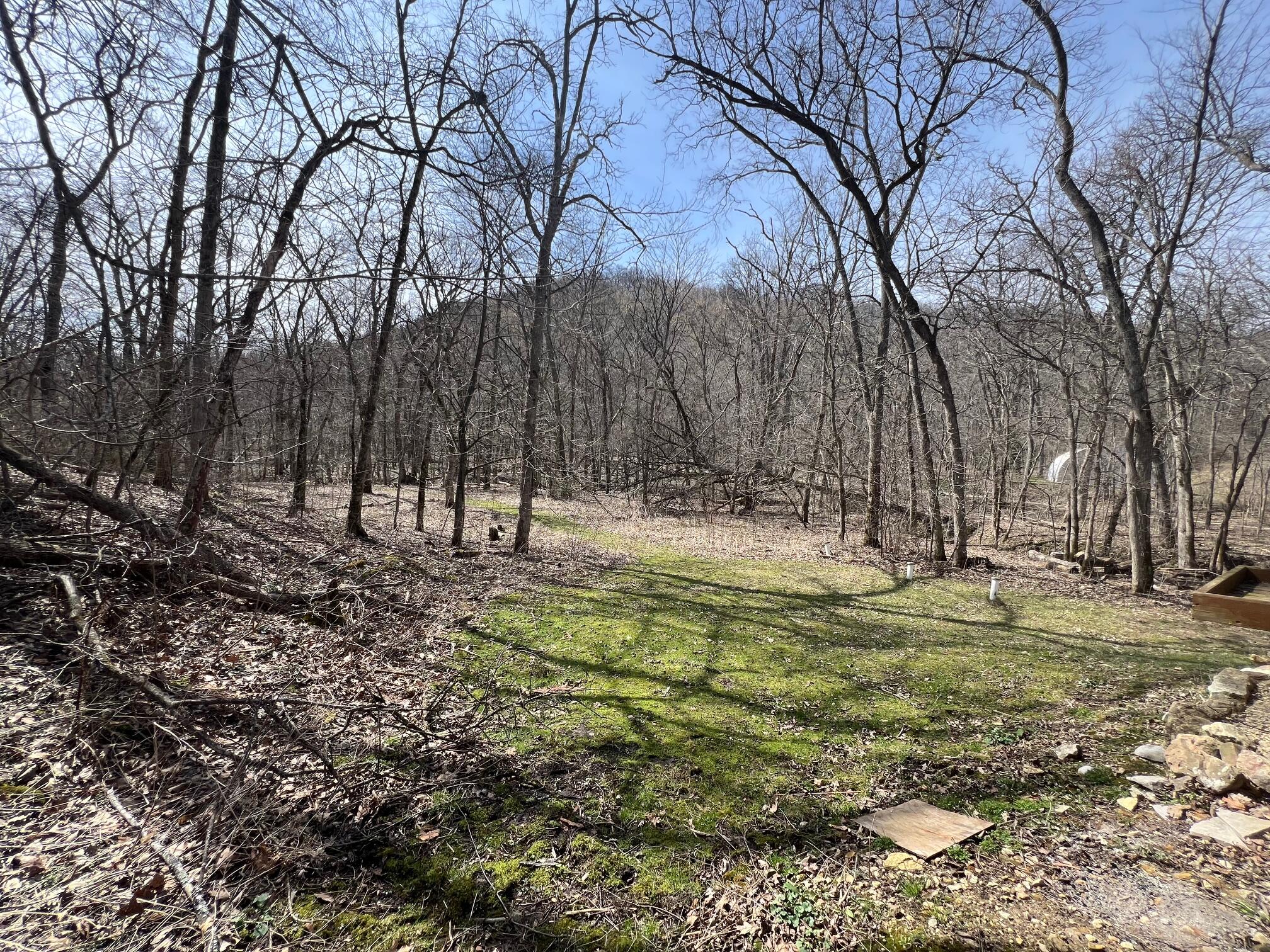 57751 Rainbow Drive Freeman, WI 54628 - Photo 26 of 32 IMG_4674