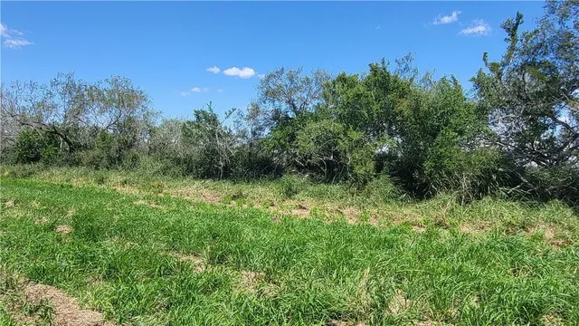 $1,200,000 | 0 Us-281, Falfurrias, TX 78355