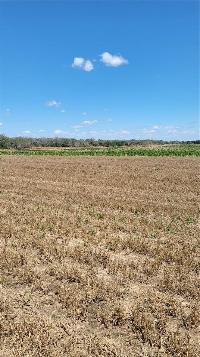 0 Us-281 Falfurrias, TX 78355 - Photo 9 of 10