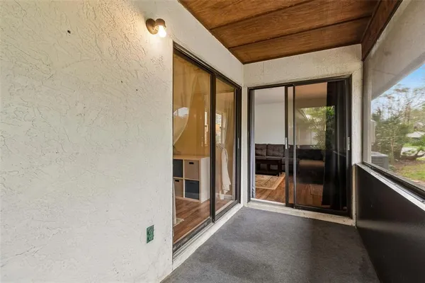 a view of a garden with plants