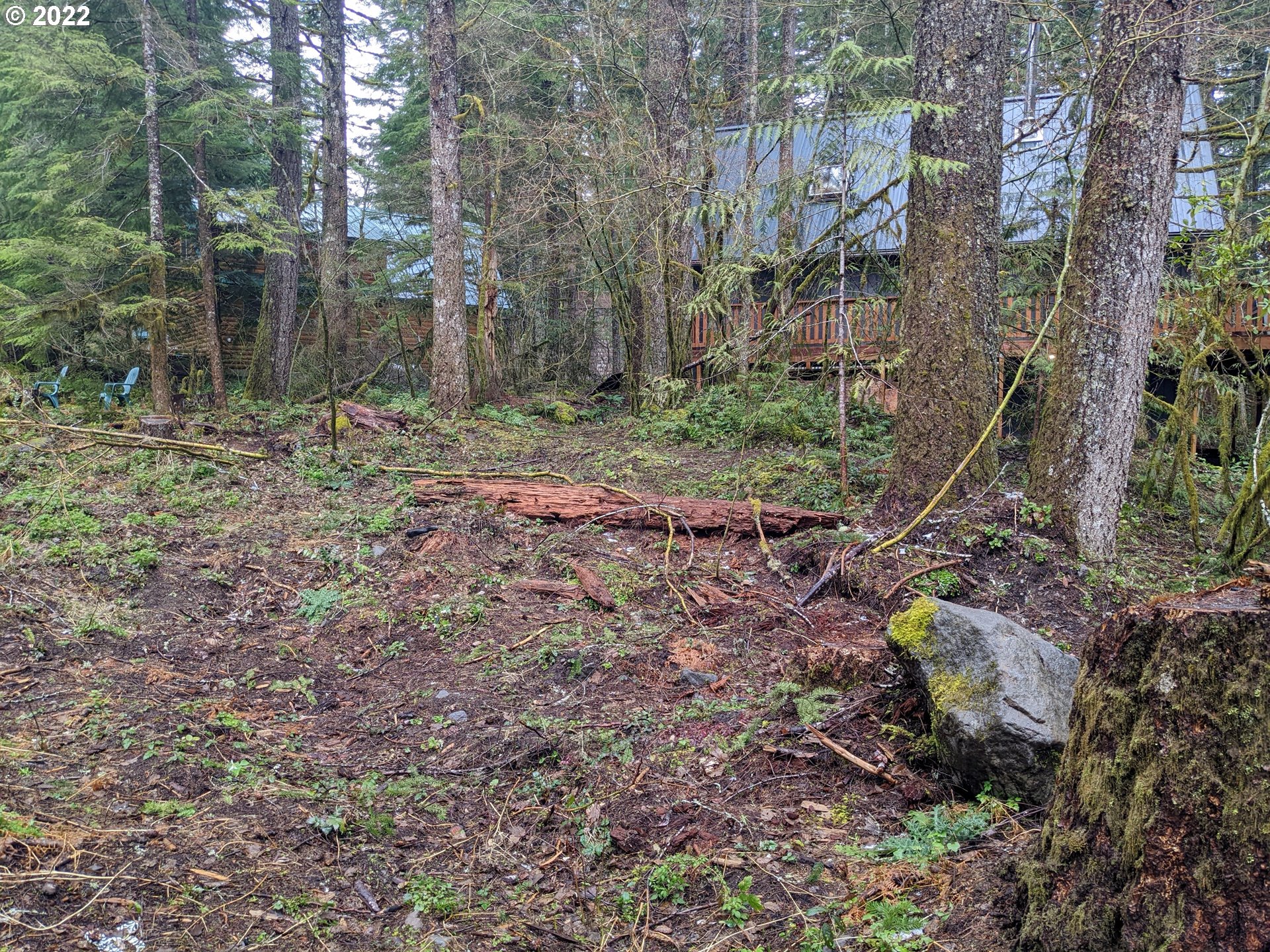 72681 East Village Loop Road Rhododendron, OR 97049 - Photo 3 of 8 a backyard of a house with lots of green space